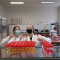 Stem_Biotechnologische STEM-wetenschappen_Ph